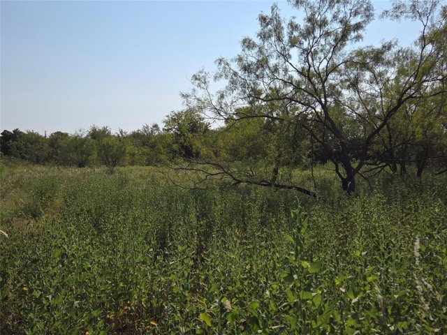Photo 35