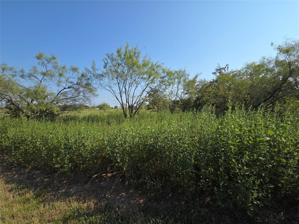 Lot 3 Old Peninsula Trail - Photo 5
