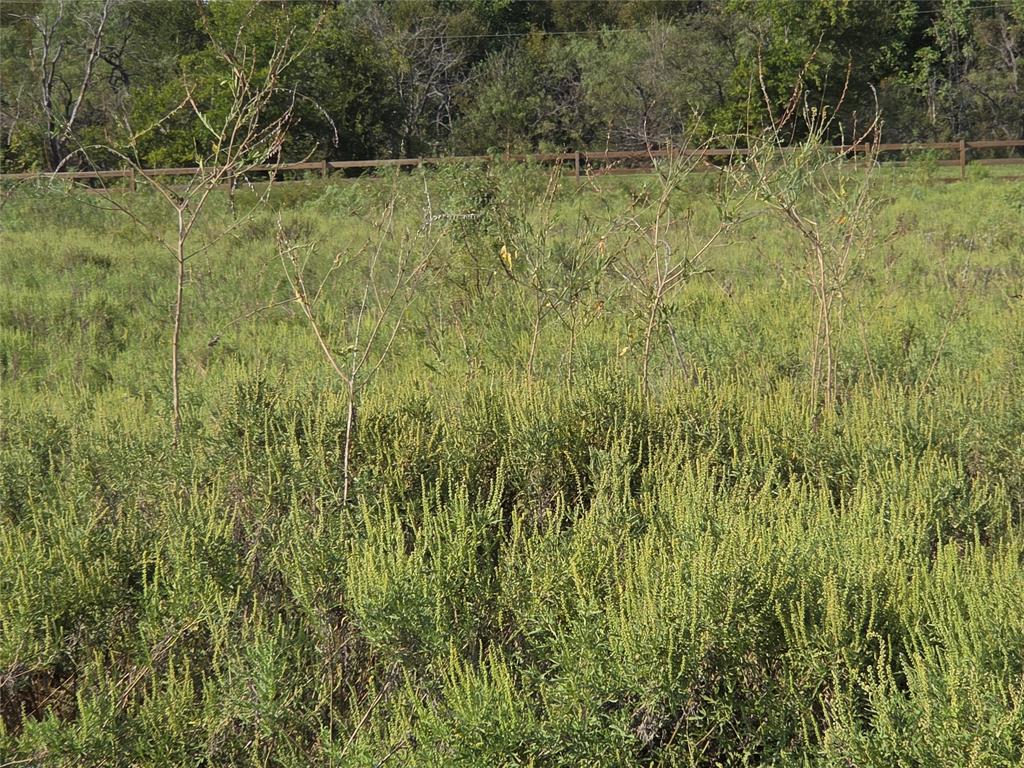 Lot 3 Old Peninsula Trail - Photo 9