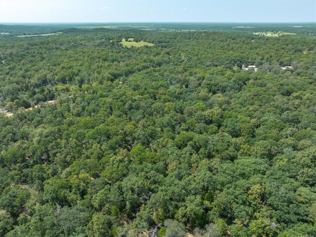 TBD Private Road 6926 - Photo 4
