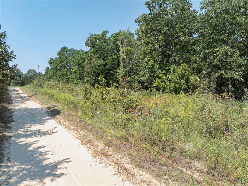 TBD Private Road 6926 - Photo 6