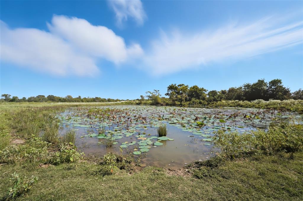 3855 County Road 3410 - Photo 15