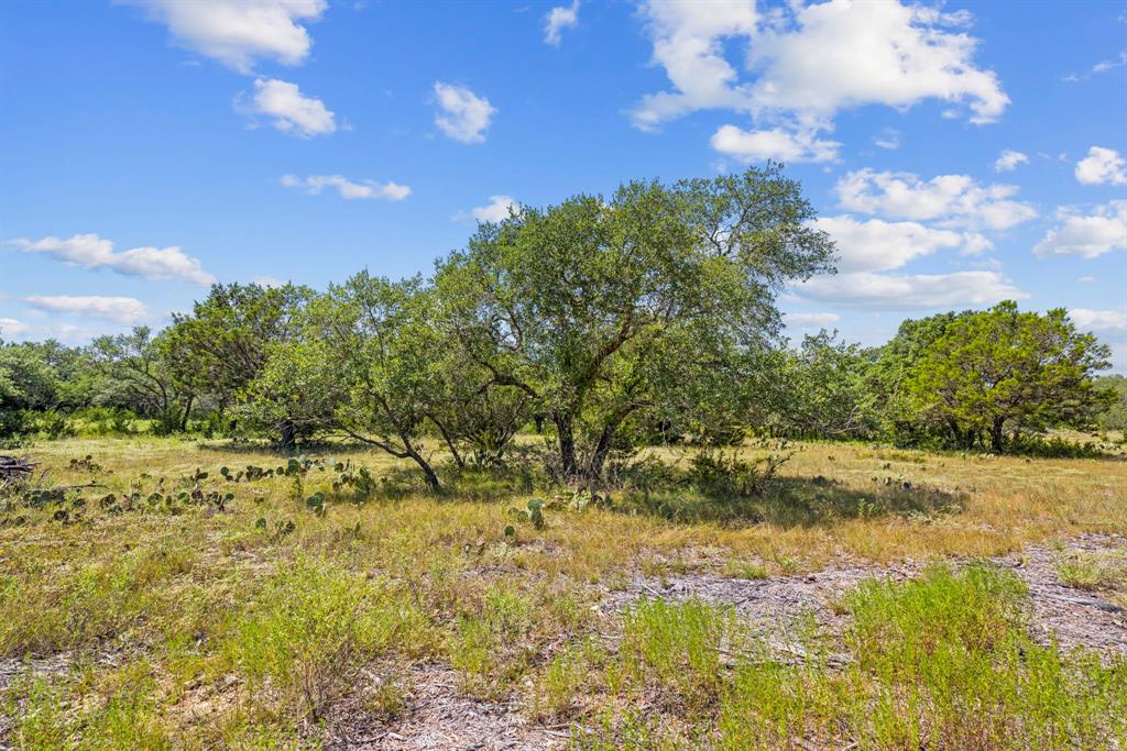 Lot 170 Heartleaf - Photo 10