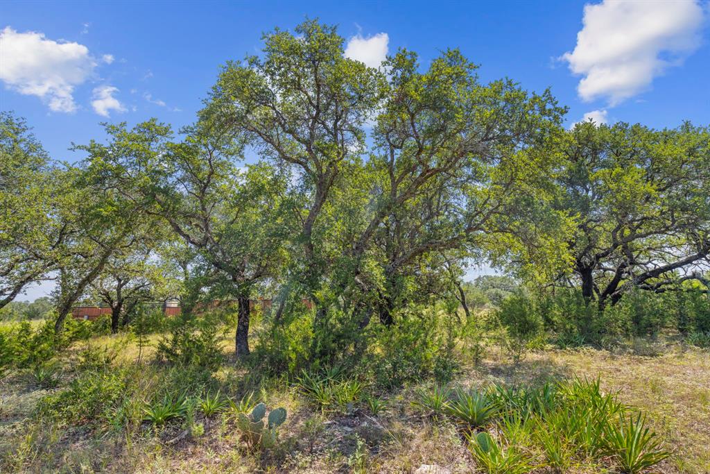 Lot 170 Heartleaf - Photo 13