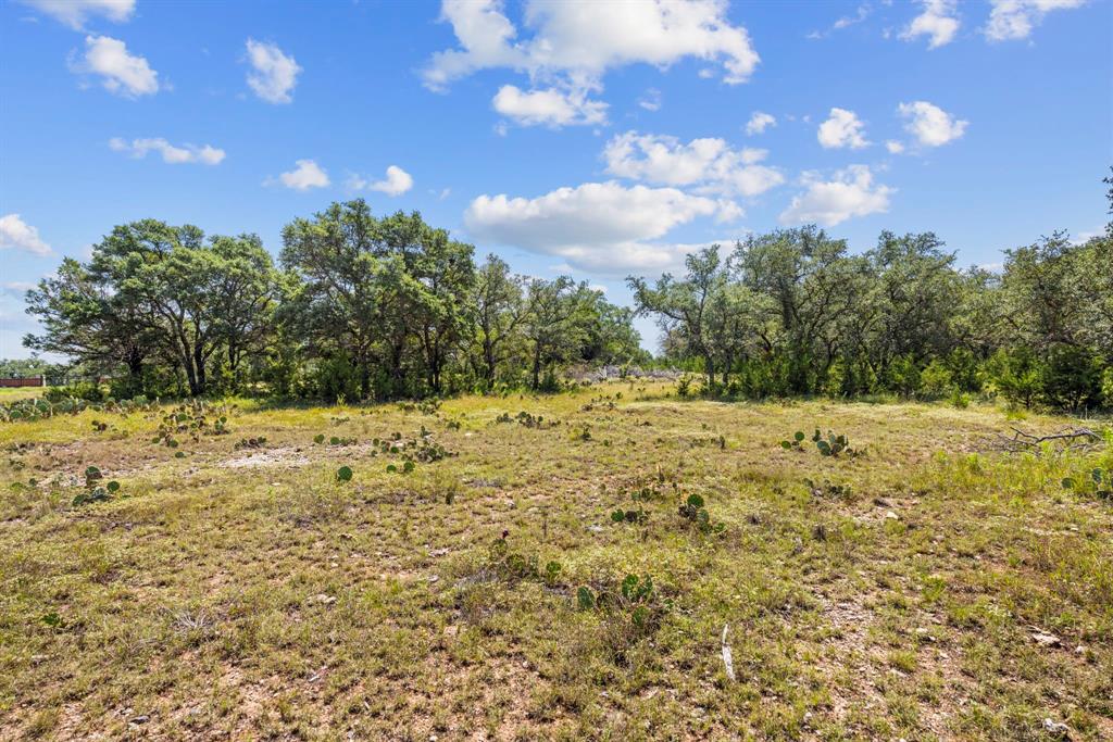 Lot 170 Heartleaf - Photo 8