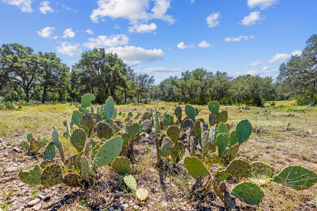 Lot 170 Heartleaf - Photo 9