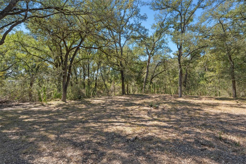 6.754 County Road 473 - Photo 4