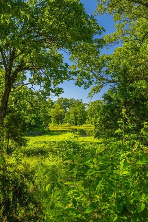 0 County Road 2592 - Photo 11