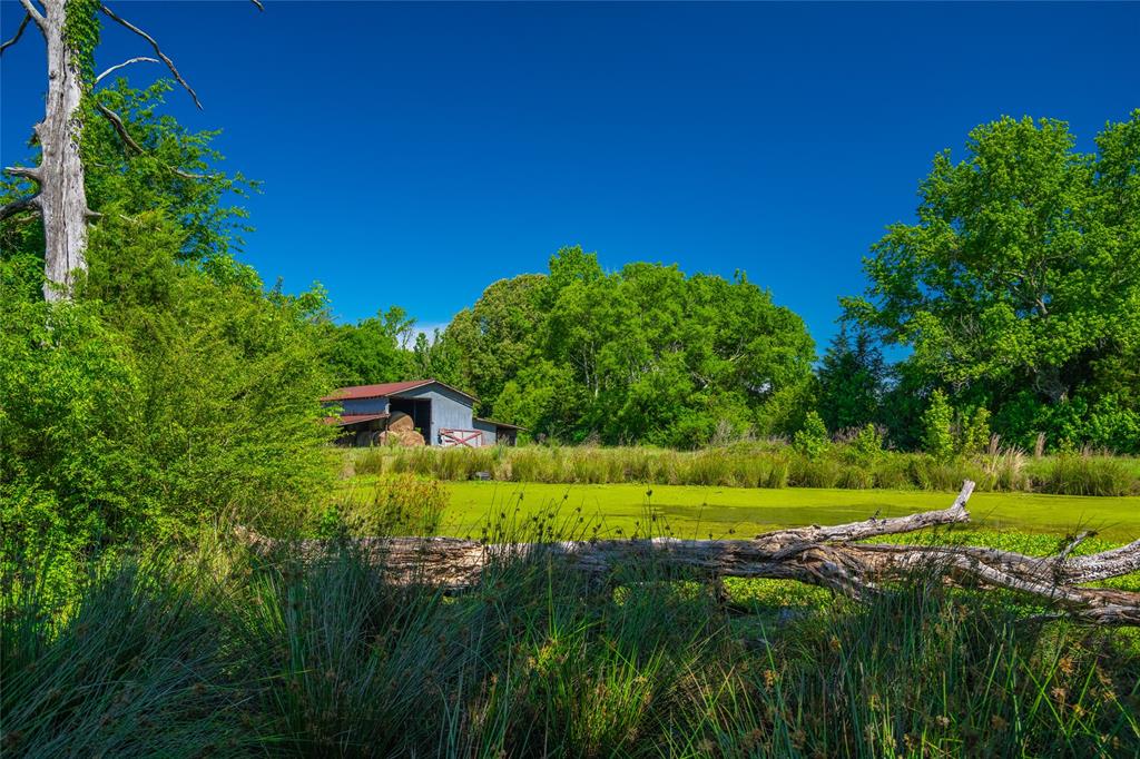 0 County Road 2592 - Photo 13