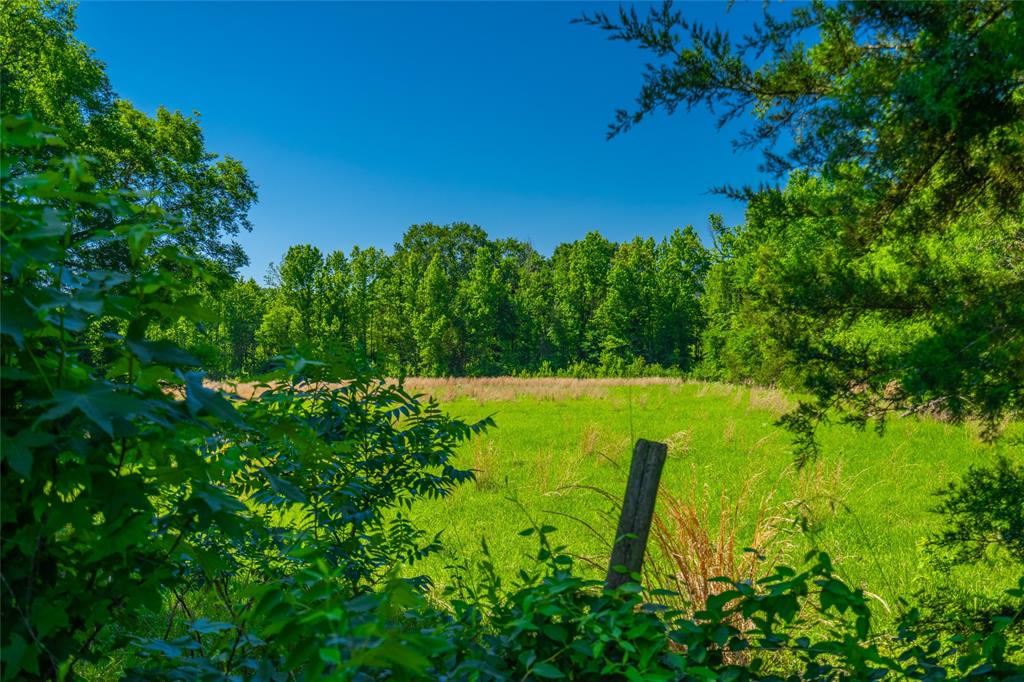 0 County Road 2592 - Photo 15