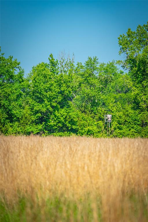 0 County Road 2592 - Photo 18