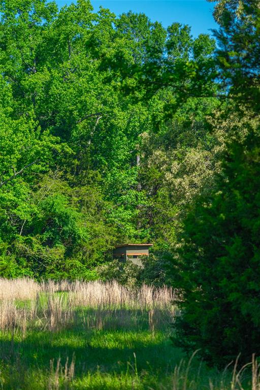 0 County Road 2592 - Photo 19