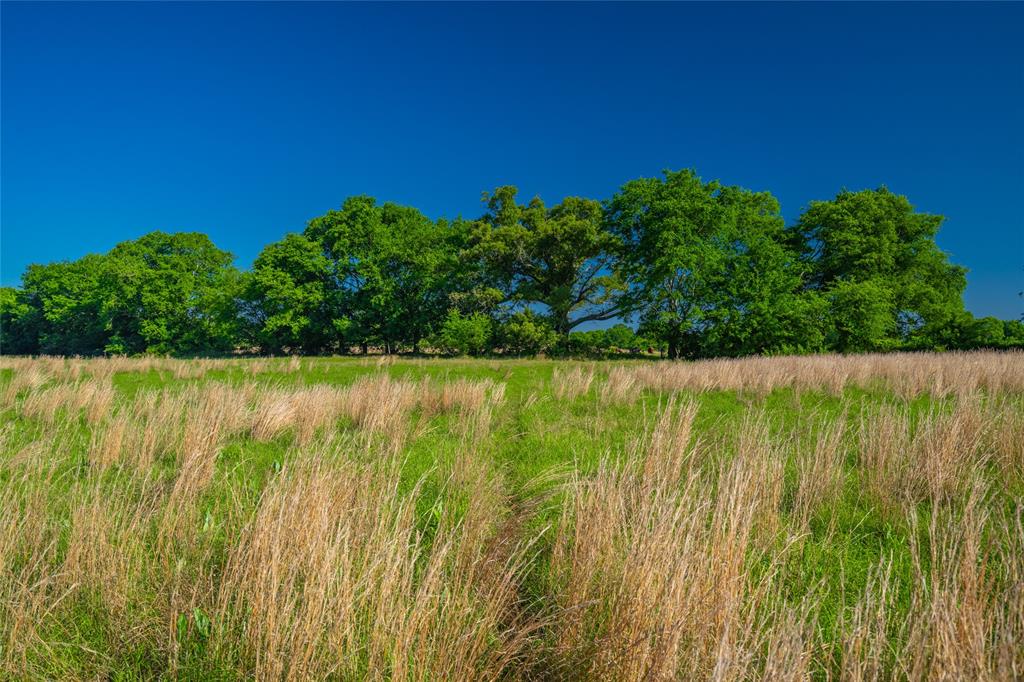 0 County Road 2592 - Photo 2