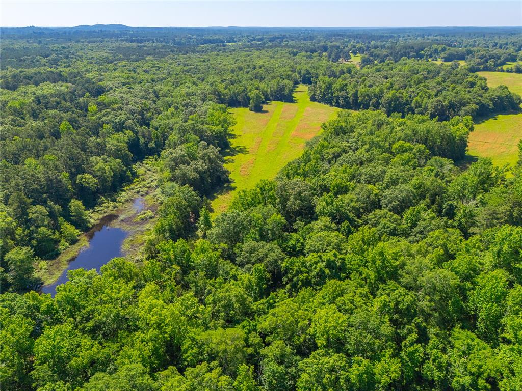 0 County Road 2592 - Photo 24