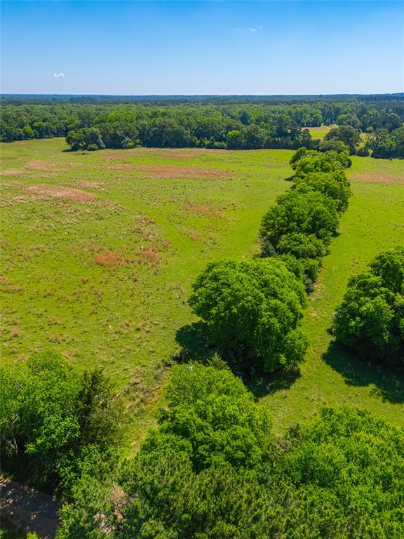 0 County Road 2592 - Photo 30