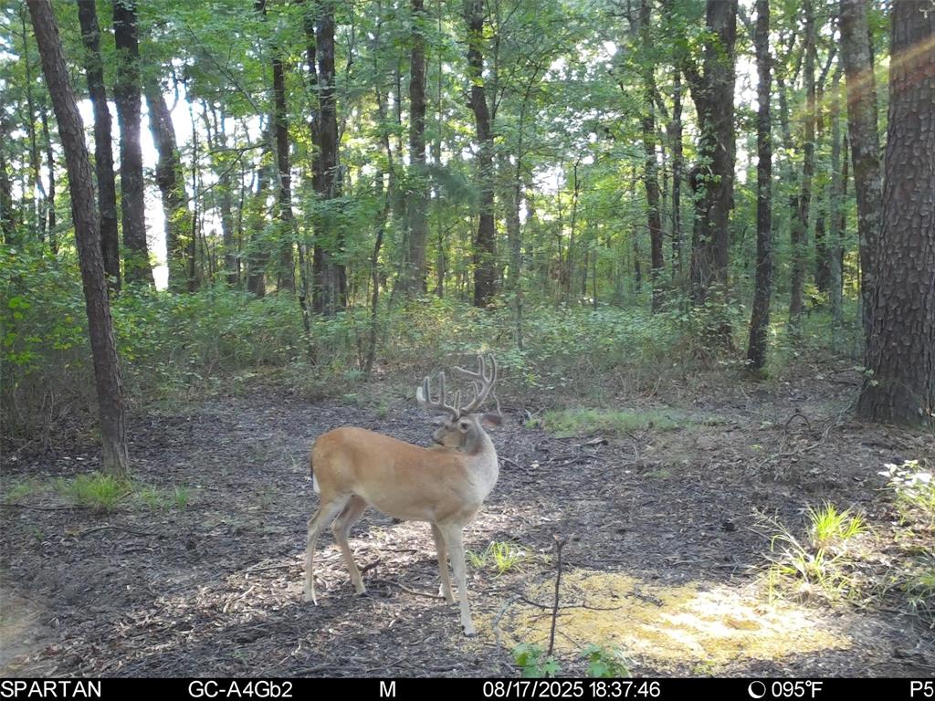 0 County Road 2592 - Photo 33