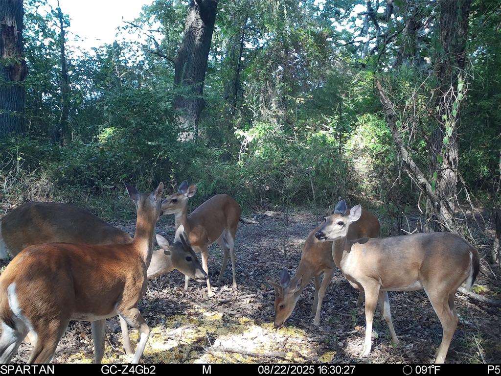 0 County Road 2592 - Photo 34