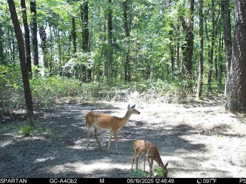 0 County Road 2592 - Photo 35