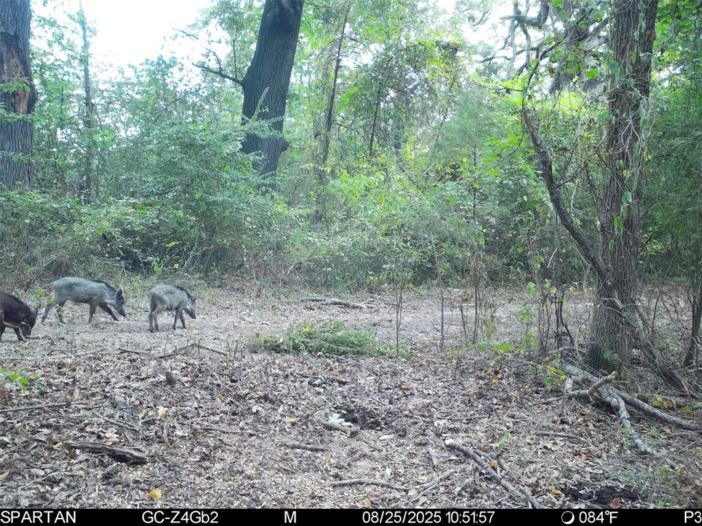 0 County Road 2592 - Photo 37