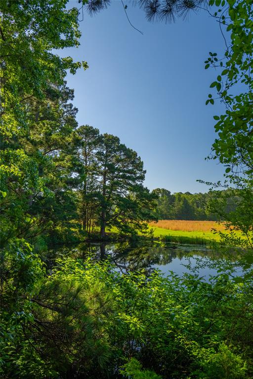 0 County Road 2592 - Photo 4