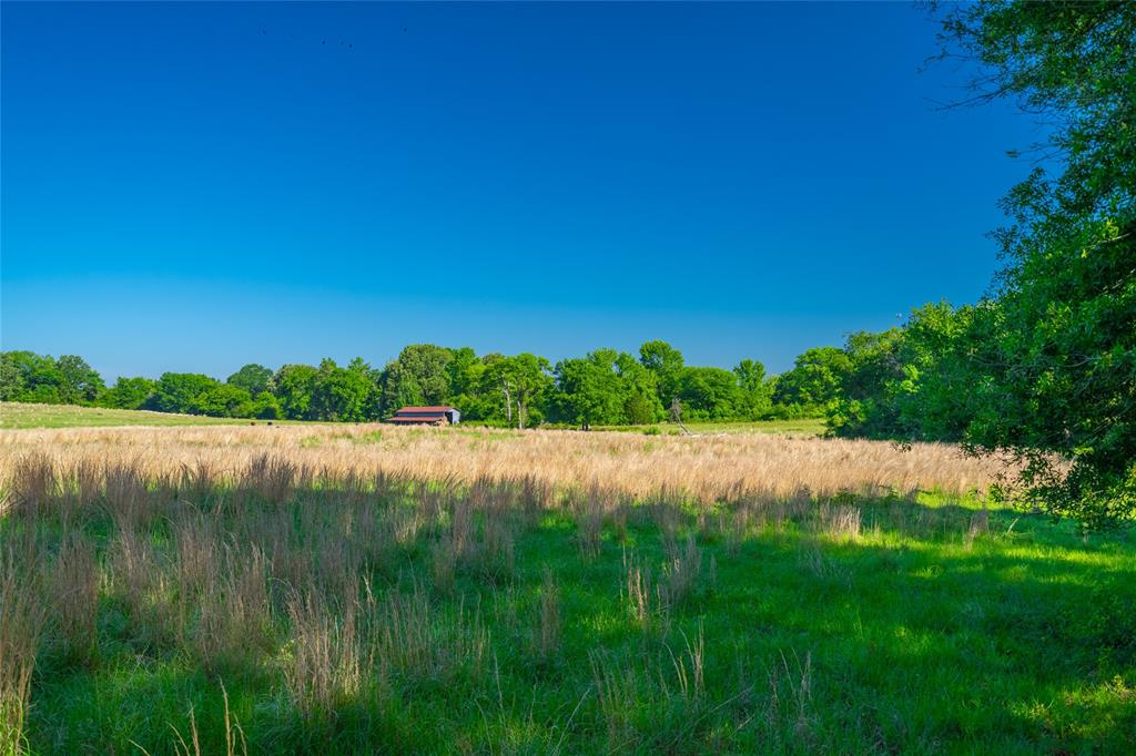 0 County Road 2592 - Photo 5