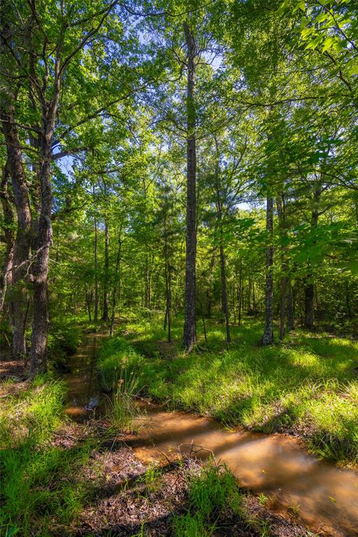 0 County Road 2592 - Photo 6