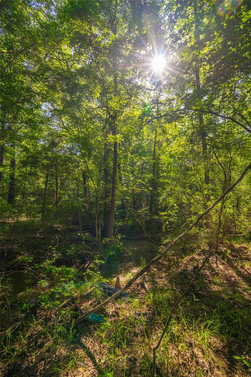 0 County Road 2592 - Photo 7