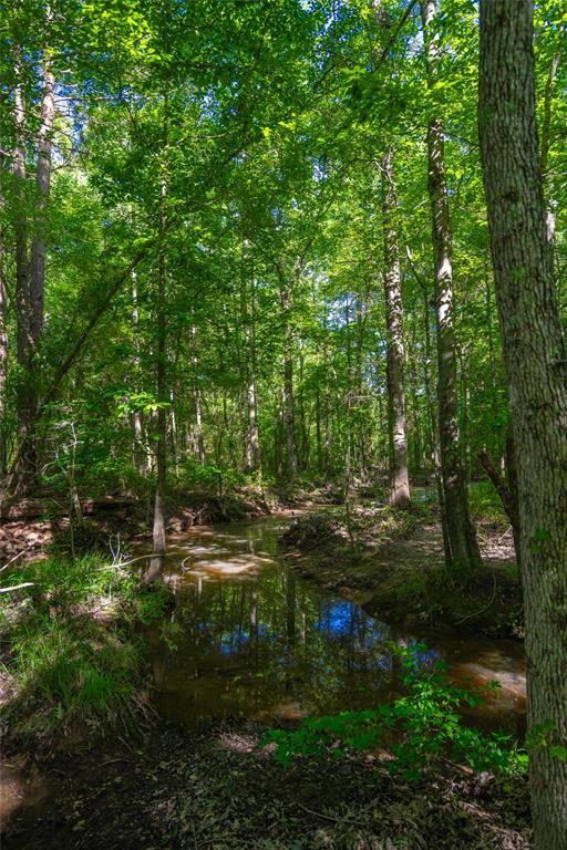 0 County Road 2592 - Photo 8