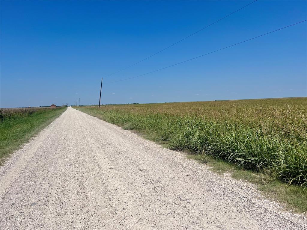 TBD 105 acres Dale Acres Road - Photo 12