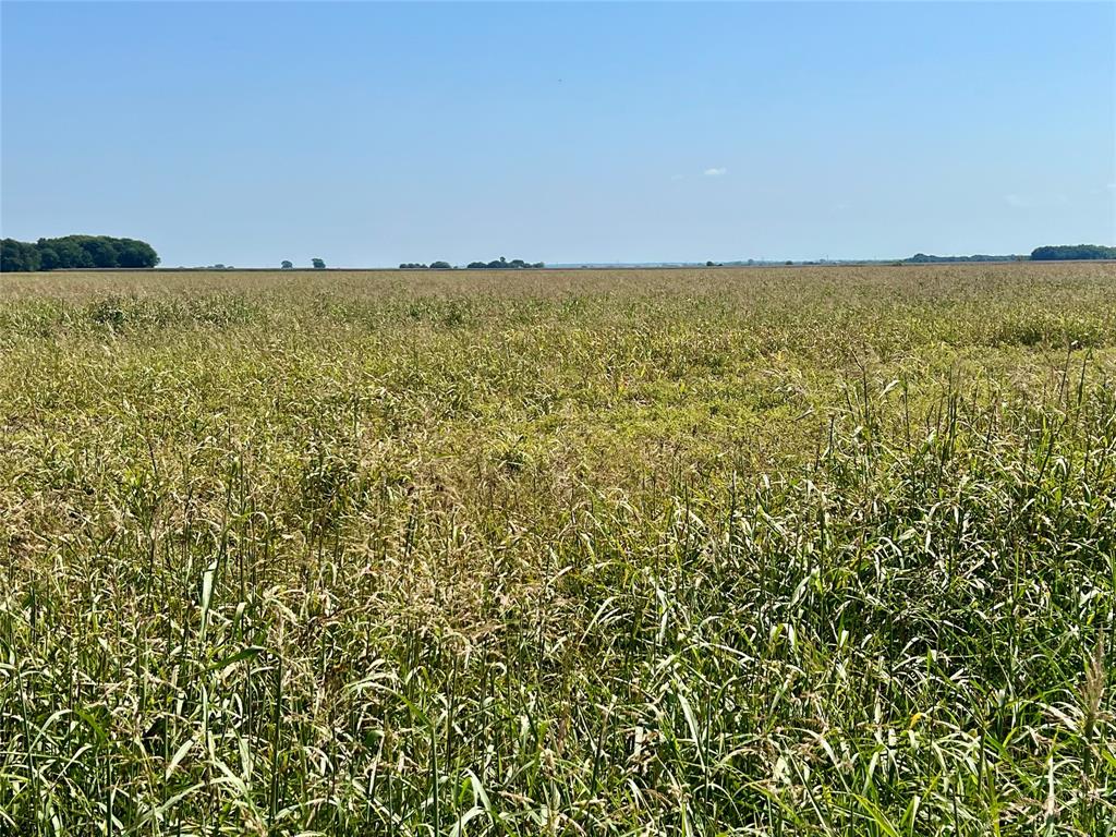 TBD 105 acres Dale Acres Road - Photo 5