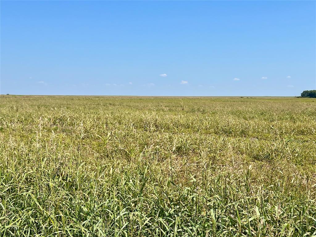 TBD 105 acres Dale Acres Road - Photo 6