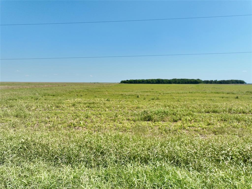 TBD 105 acres Dale Acres Road - Photo 7