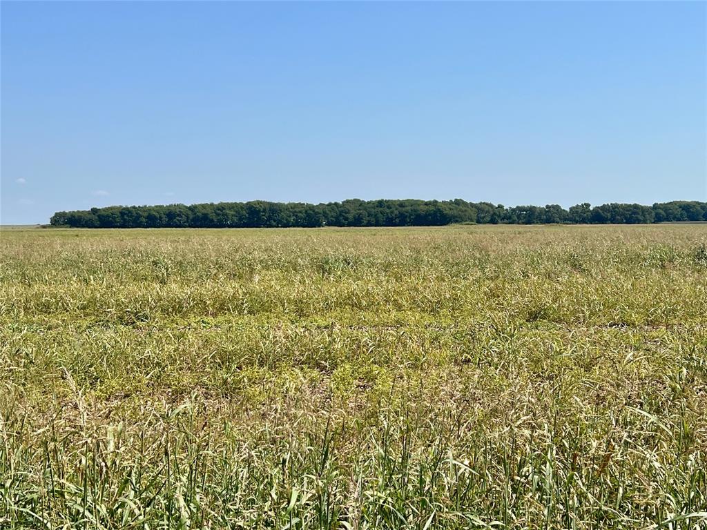 TBD 105 acres Dale Acres Road - Photo 8