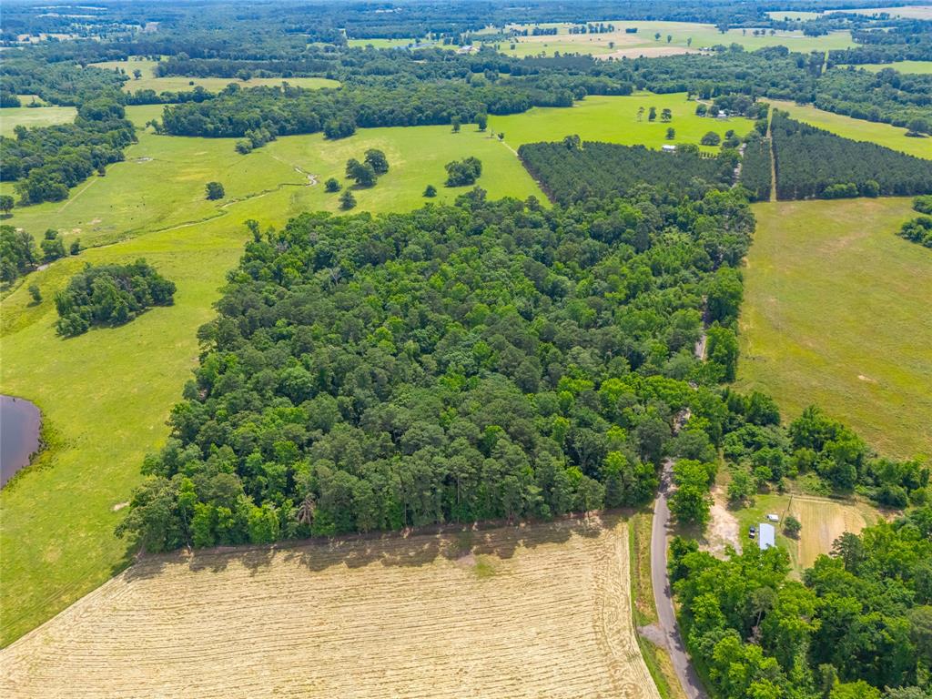 4206 Gilliam Lane - Photo 1