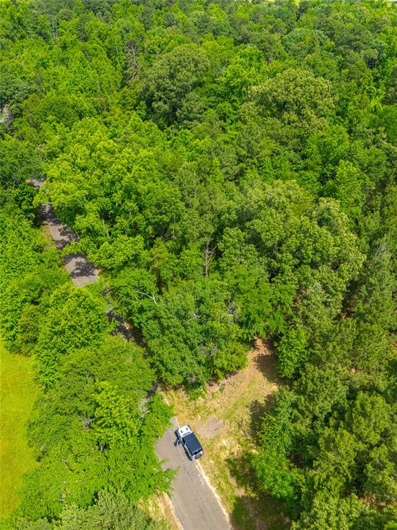 4206 Gilliam Lane - Photo 2