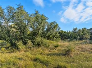 Lot 24 Ph 4 Pr 42126 - Photo 6