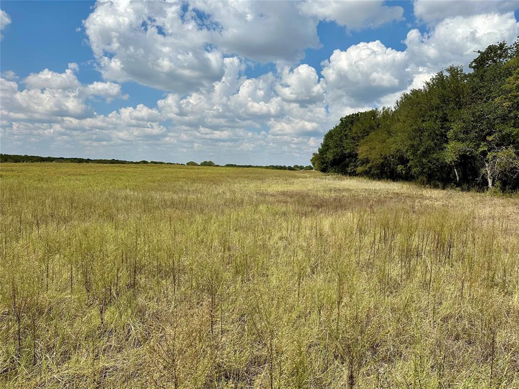 TBD CR 323 - Photo 11