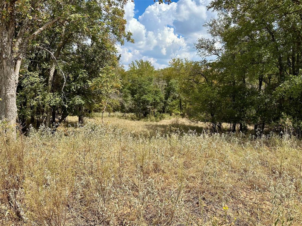 TBD CR 323 - Photo 2