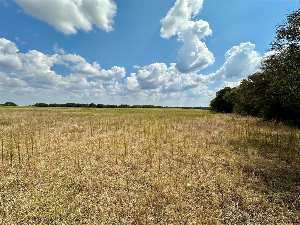 TBD CR 323 - Photo 3