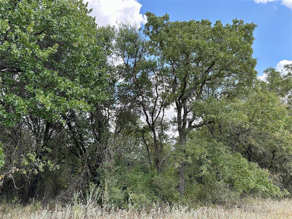 TBD CR 323 - Photo 4
