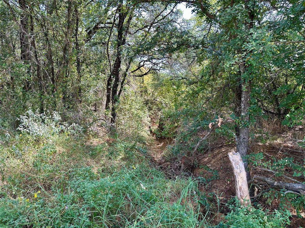 TBD CR 323 - Photo 7