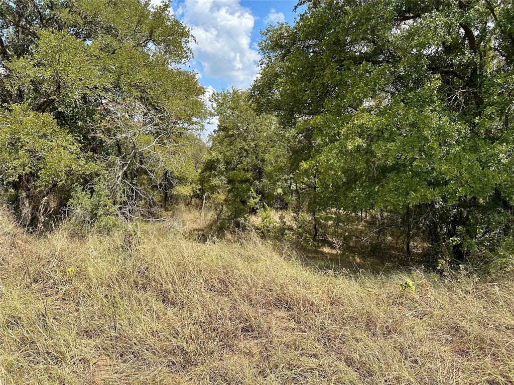 TBD CR 323 - Photo 8