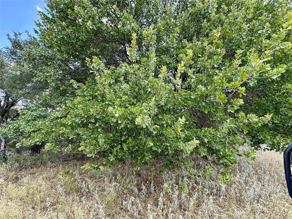 TBD CR 323 - Photo 9
