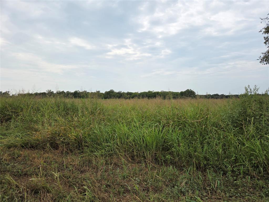 TBD County Road 3615 - Photo 1