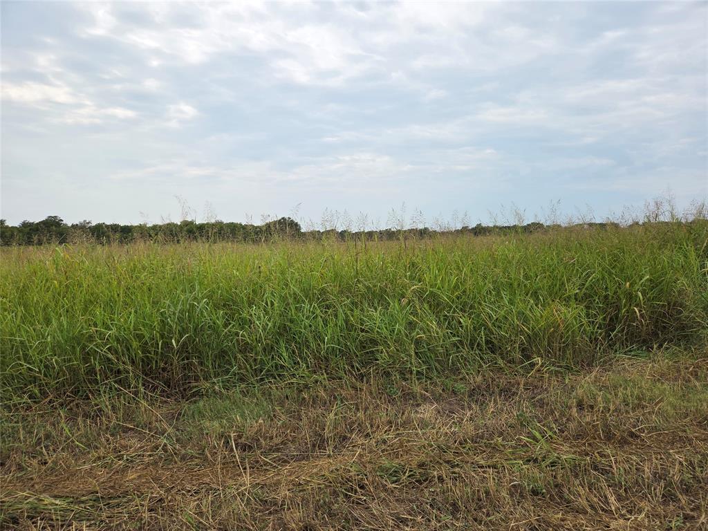 TBD County Road 3615 - Photo 2