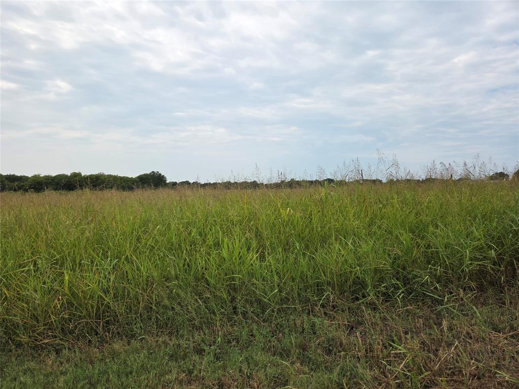 TBD County Road 3615 - Photo 3