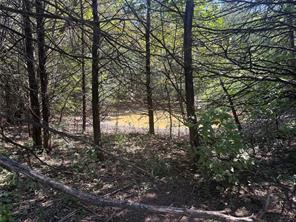 808 W Line Road - Photo 31