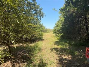 808 W Line Road - Photo 34