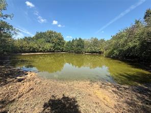 808 W Line Road - Photo 35