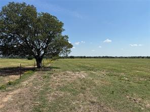808 W Line Road - Photo 38